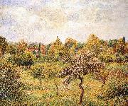 Camille Pissarro The apple trees on the lawn oil painting on canvas